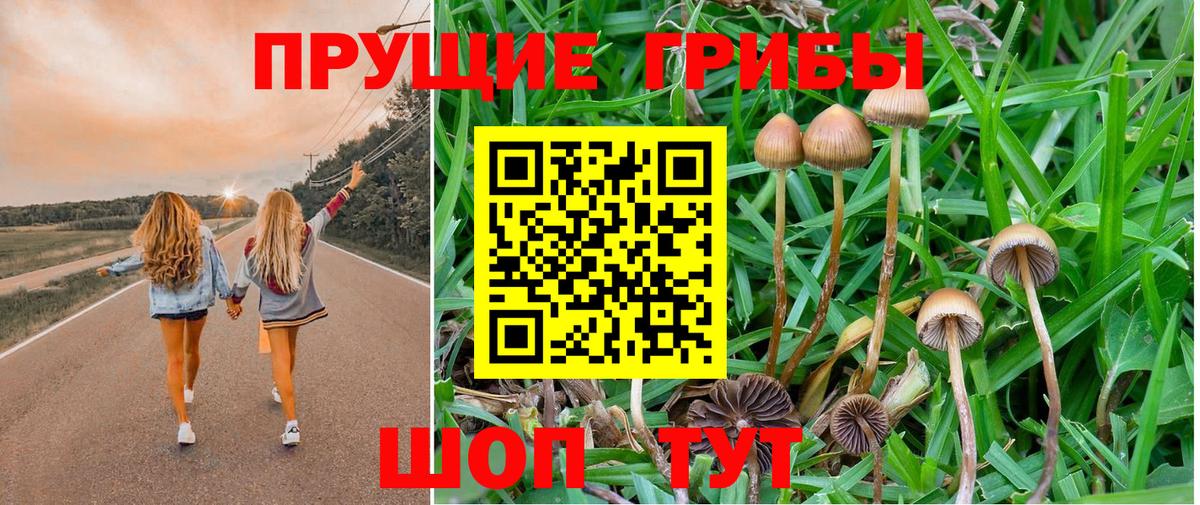 Псилоцибиновые грибы мухоморы  Вход с VPN  Советский 