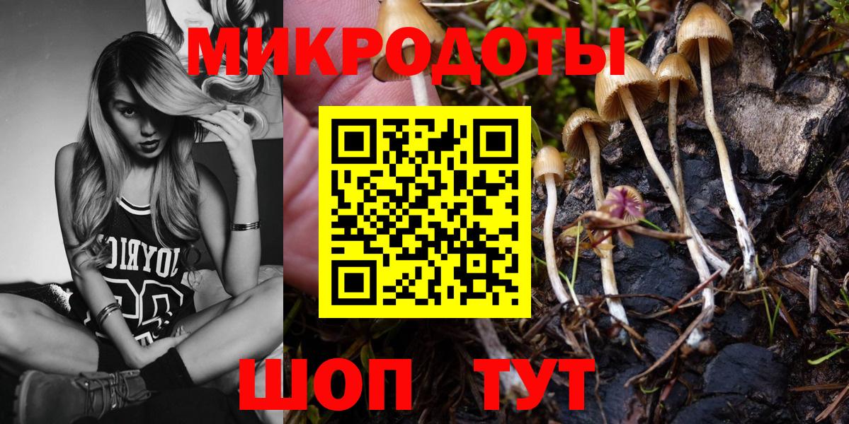 Галлюциногенные грибы Cubensis Советский